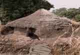 Andaman Tribe Island Escap