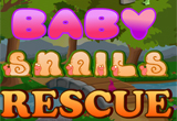 Baby Snails Rescue Escape
