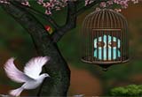 Bird Escape Game