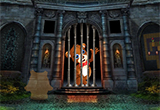 Blessed Bear Escape Game