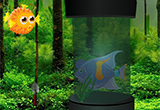 Blue Fish Escape Game