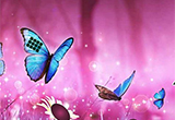 Butterfly Fantasy Land Escape