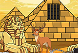 Escape Game Desert Deer