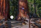 Escape From Giant Sequoia National Monument