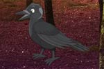 Escape Game Forest Raven