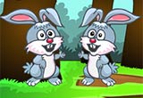 Escape Game Hungry Rabbit Rescue