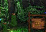 Escape Nature Garden