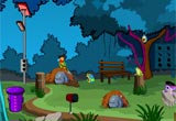 Fly Catchers Escape