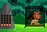 Forest Lion Rescue