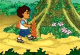 Go Diego Go Rain Forest