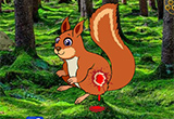 Injuried Squirrel Escape Game