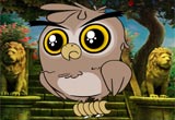 Lion Park Owl Escape