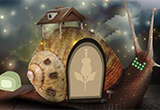 Mystery Rooms Illusionist Snail Forest
