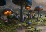 Occult Mushroom Land Escape