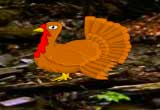 Rescue Thanksgiving Turkey