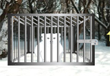 Snow Bear Forest Rescue