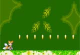 Sonic Extreme 2