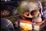 Miracle Island Hidden Object Game