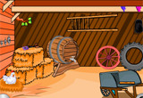 Turkey Poultry Farm Escape