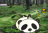 Wakeup The Snooze Panda