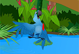 Save The Troubled Macaw